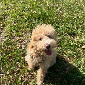 Meet your Posher, Erika